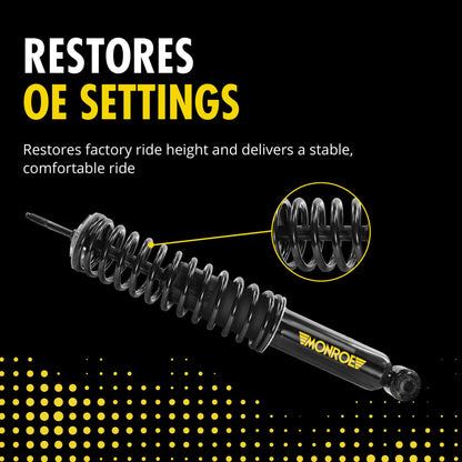 Monroe Shocks & Struts Monroe 90017C Air Spring to Coil Spring Conversion Kit