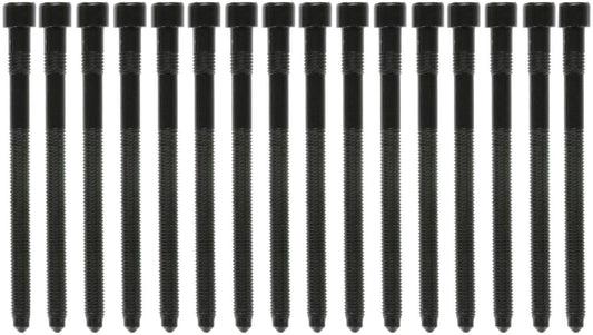 MAHLE GS33455 Engine Cylinder Head Bolt Set, 1 Pack